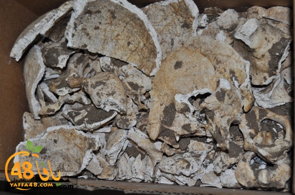 maqbara qeshleah (7).JPG